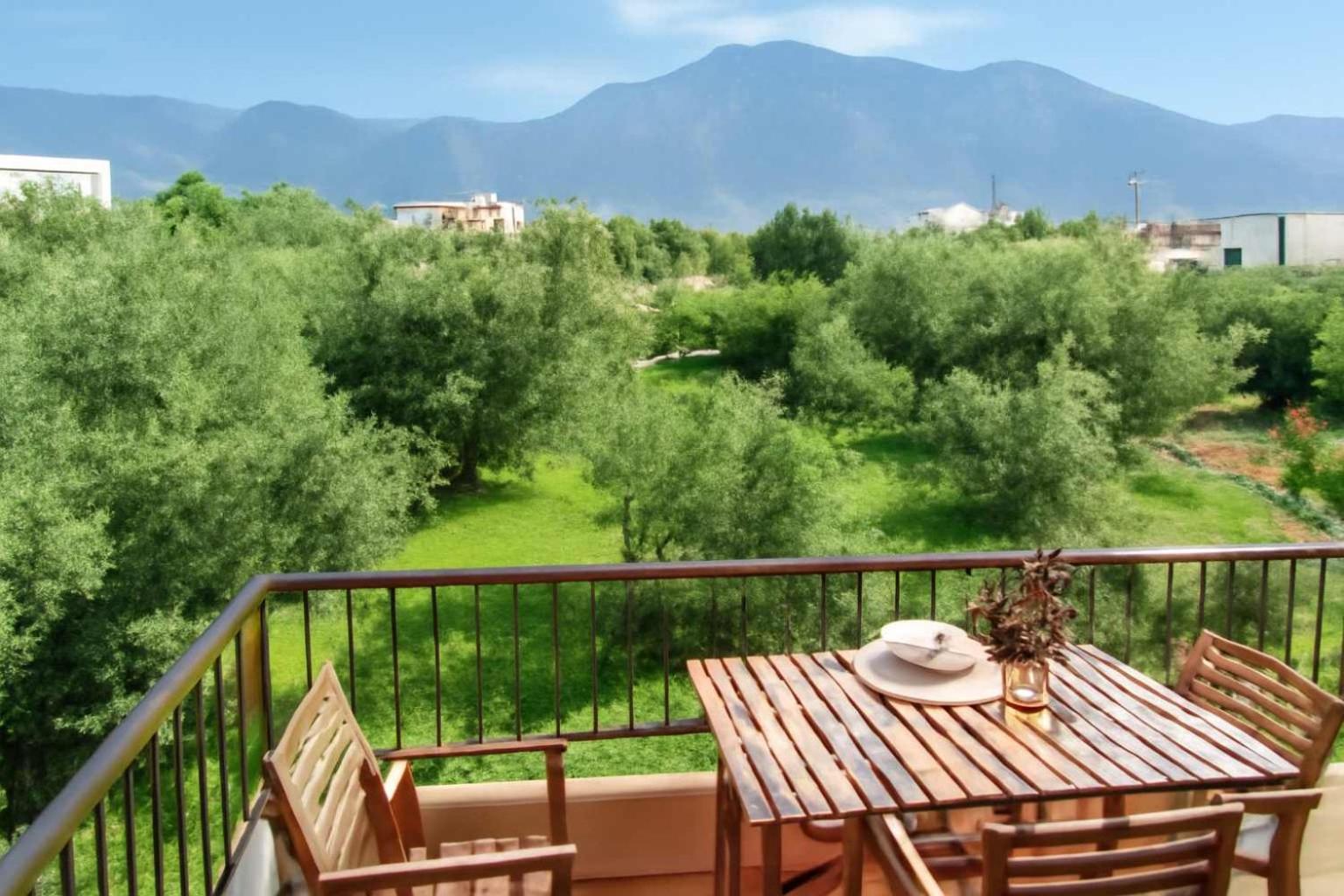 Amalia's Serendipity - Lights & Mountain Vistas *