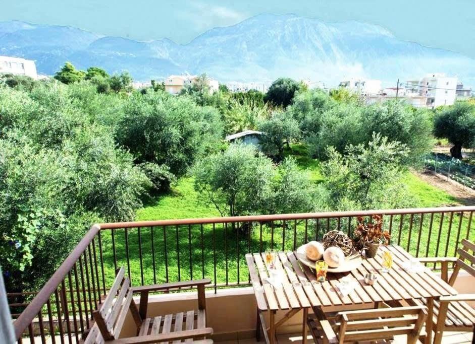 Holiday home Amalia's Serendipity - Lights & Mountain Vistas *